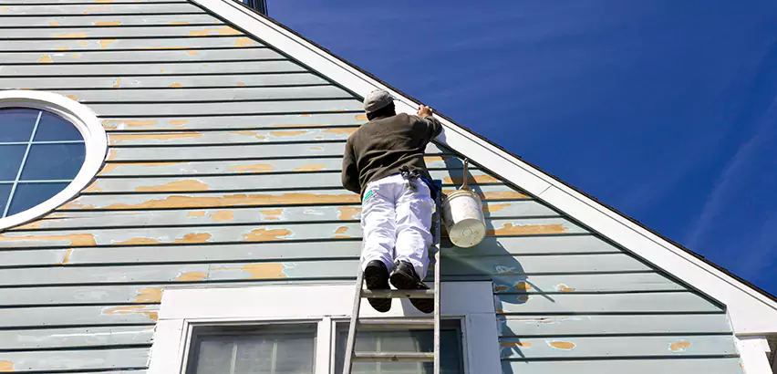 Professional Roof and Siding Repair Services in University Place, WA