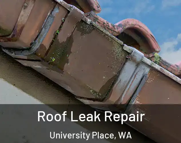  Roof Leak Repair University Place, WA